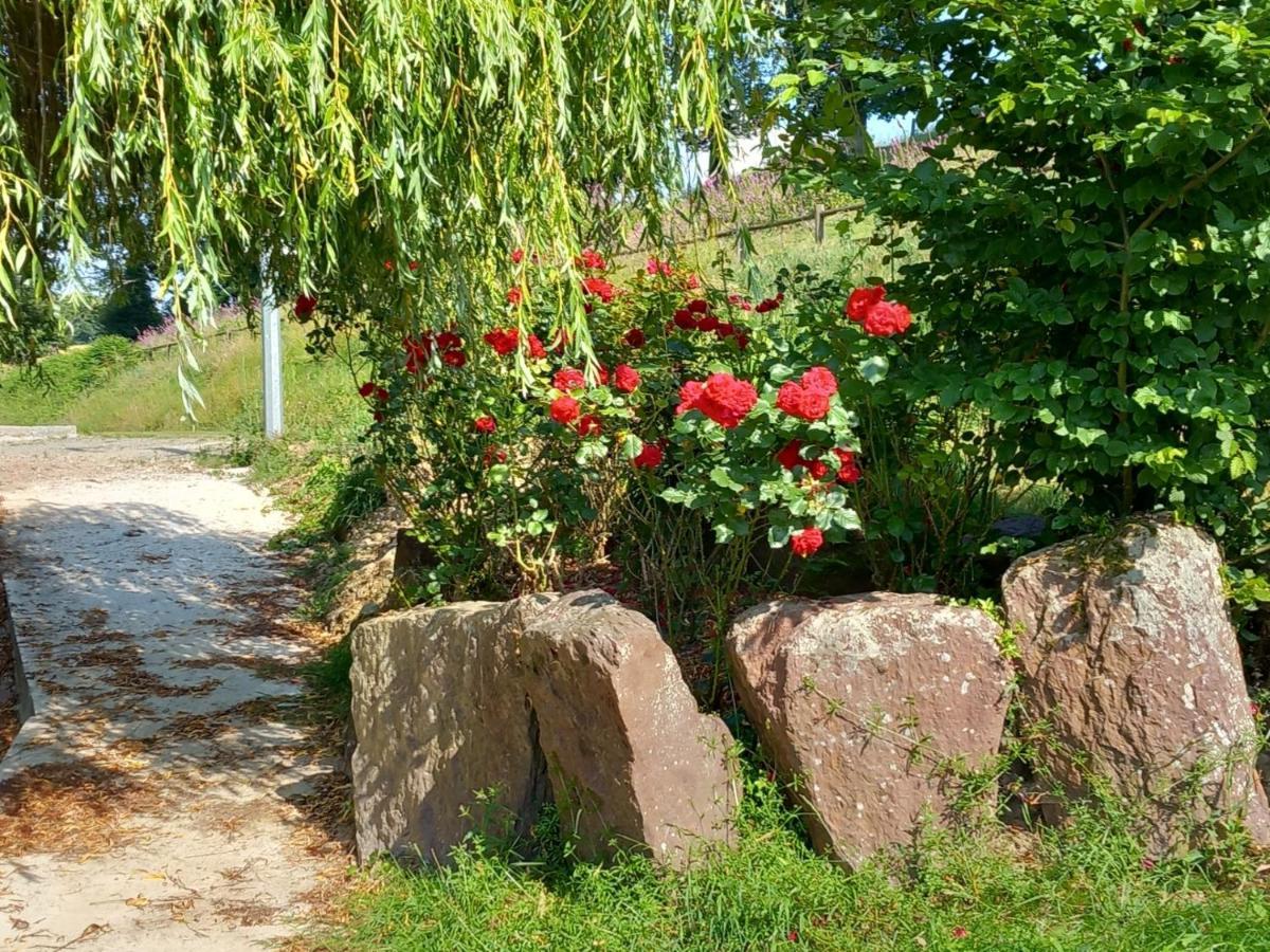 A La Memoire De Merlin & Spa Saint-Malon-sur-Mel Esterno foto